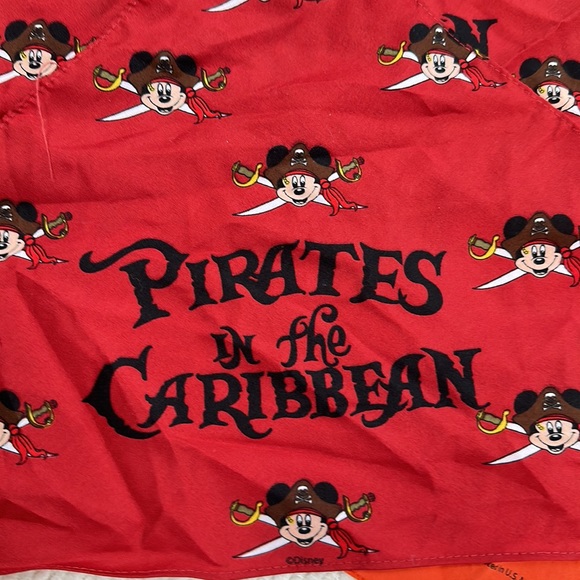 Set of four bandanas - two Disney, one Thomas the Train, one Survival Tips - Picture 6 of 16